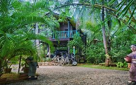 Passion Ray Villa & Tree Hut